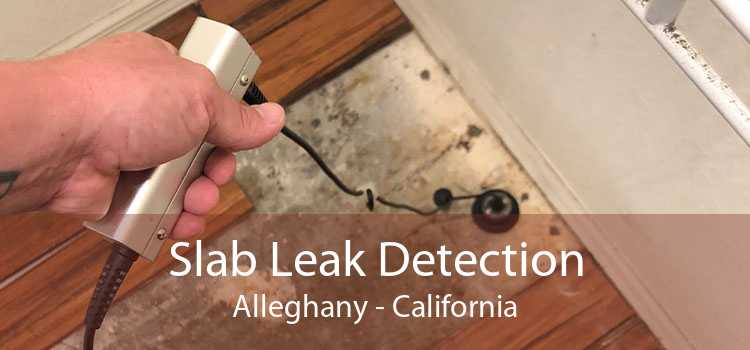 Slab Leak Detection Alleghany - California