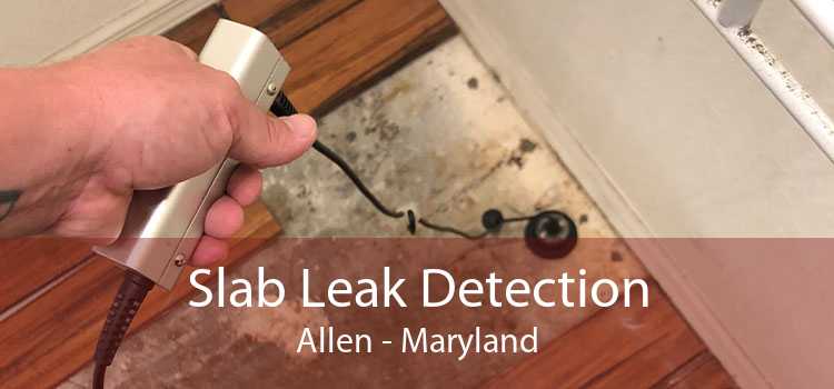 Slab Leak Detection Allen - Maryland