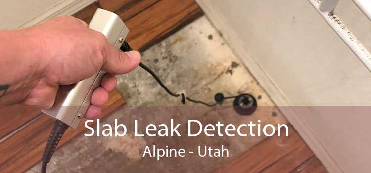 Slab Leak Detection Alpine - Utah