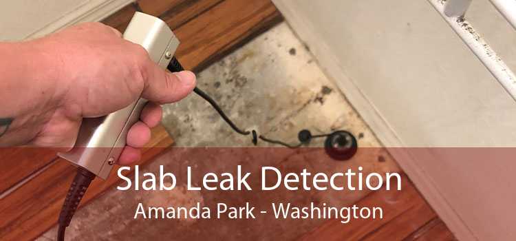Slab Leak Detection Amanda Park - Washington