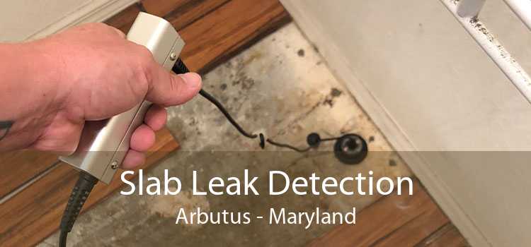Slab Leak Detection Arbutus - Maryland