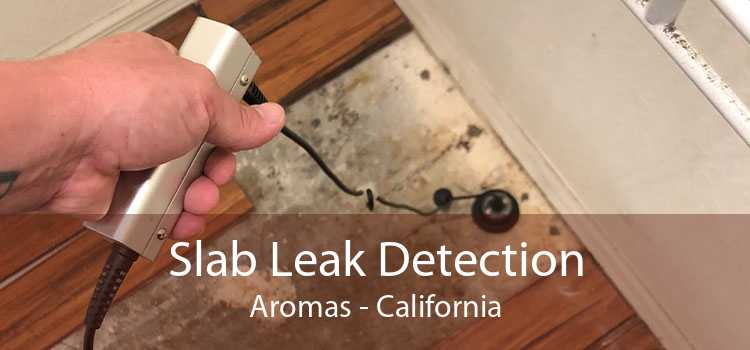 Slab Leak Detection Aromas - California