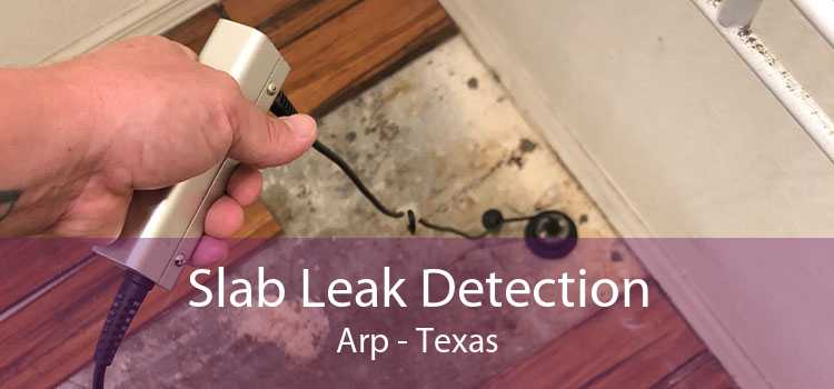 Slab Leak Detection Arp - Texas