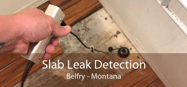 Slab Leak Detection Belfry - Montana