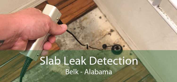 Slab Leak Detection Belk - Alabama