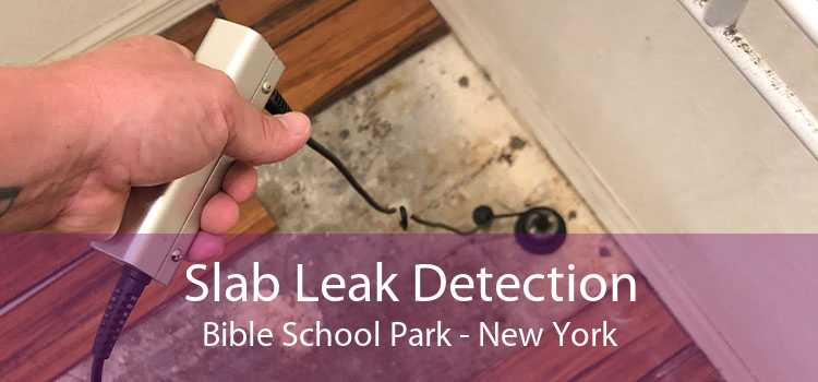Slab Leak Detection Bible School Park - New York