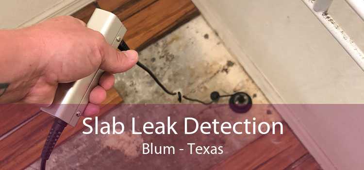 Slab Leak Detection Blum - Texas