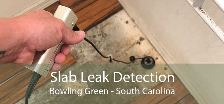 Slab Leak Detection Bowling Green - South Carolina
