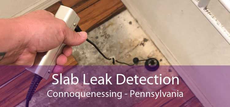 Slab Leak Detection Connoquenessing - Pennsylvania