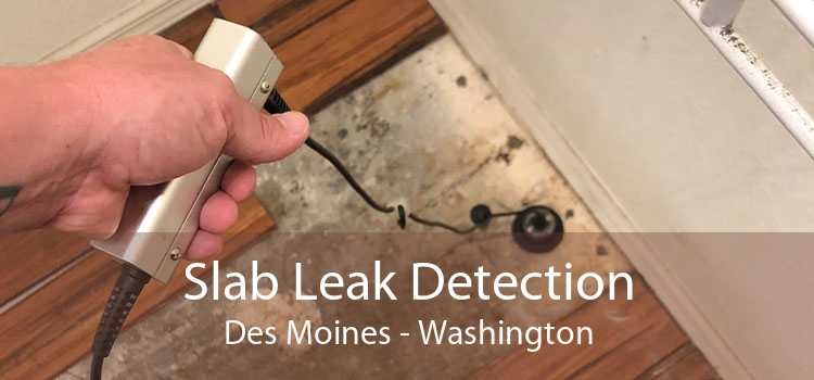 Slab Leak Detection Des Moines - Washington