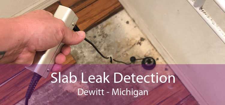 Slab Leak Detection Dewitt - Michigan