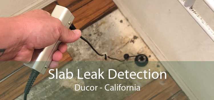 Slab Leak Detection Ducor - California