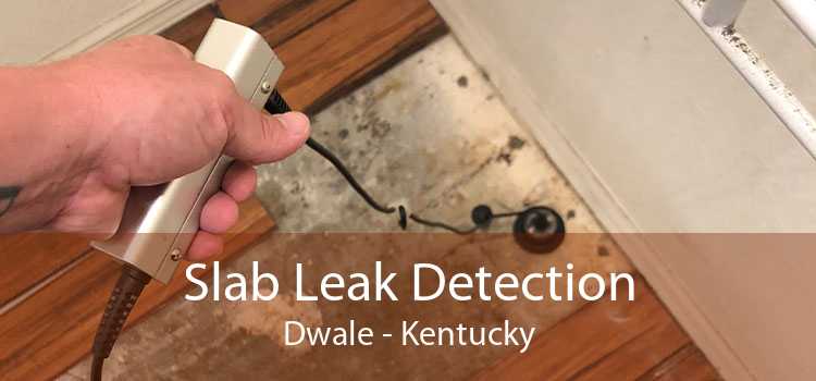 Slab Leak Detection Dwale - Kentucky