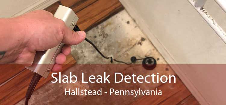 Slab Leak Detection Hallstead - Pennsylvania