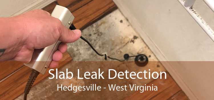 Slab Leak Detection Hedgesville - West Virginia