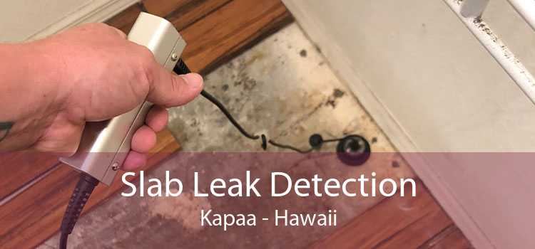 Slab Leak Detection Kapaa - Hawaii