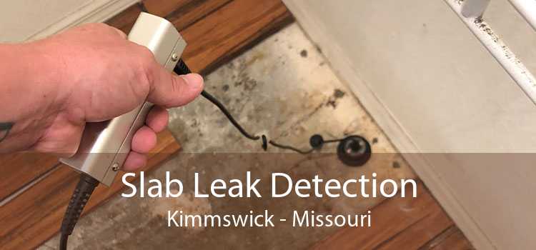 Slab Leak Detection Kimmswick - Missouri