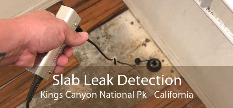 Slab Leak Detection Kings Canyon National Pk - California