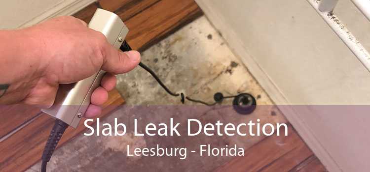 Slab Leak Detection Leesburg - Florida