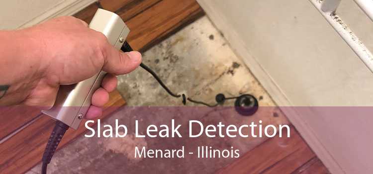 Slab Leak Detection Menard - Illinois
