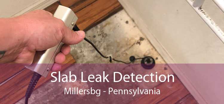 Slab Leak Detection Millersbg - Pennsylvania