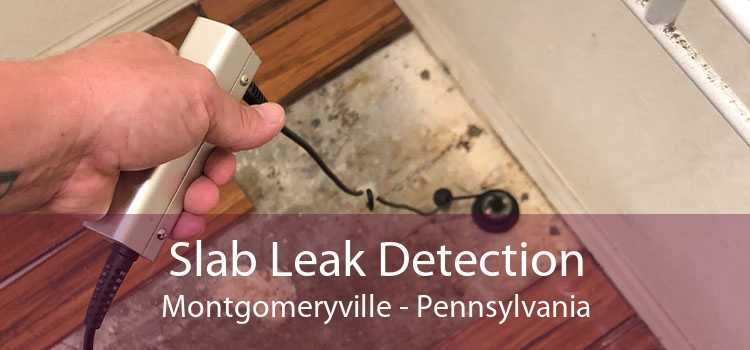 Slab Leak Detection Montgomeryville - Pennsylvania