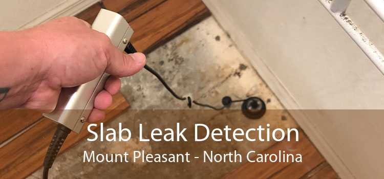 Slab Leak Detection Mount Pleasant - North Carolina