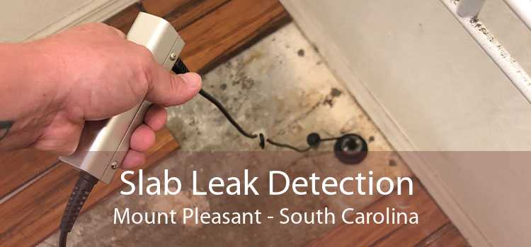Slab Leak Detection Mount Pleasant - South Carolina