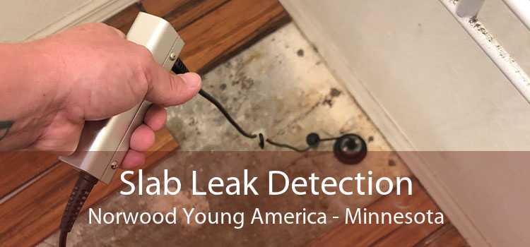 Slab Leak Detection Norwood Young America - Minnesota