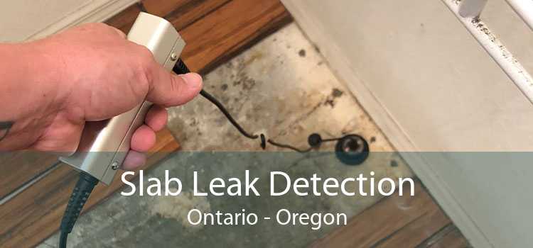 Slab Leak Detection Ontario - Oregon