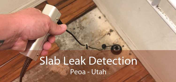 Slab Leak Detection Peoa - Utah