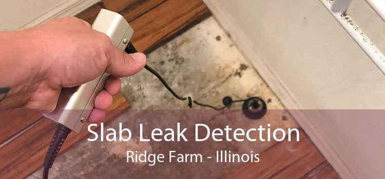 Slab Leak Detection Ridge Farm - Illinois