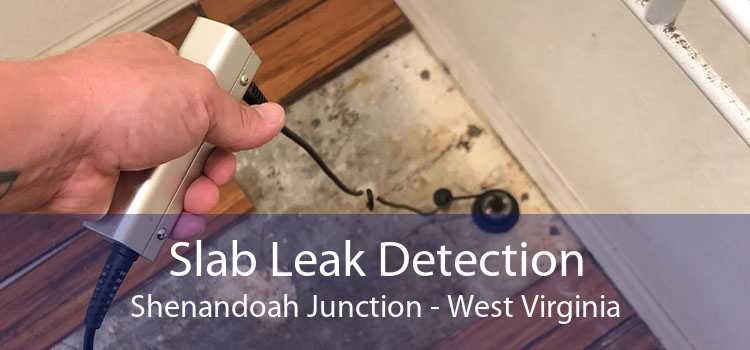 Slab Leak Detection Shenandoah Junction - West Virginia