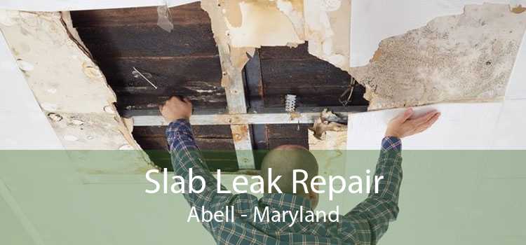 Slab Leak Repair Abell - Maryland