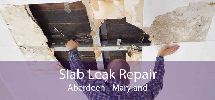 Slab Leak Repair Aberdeen - Maryland