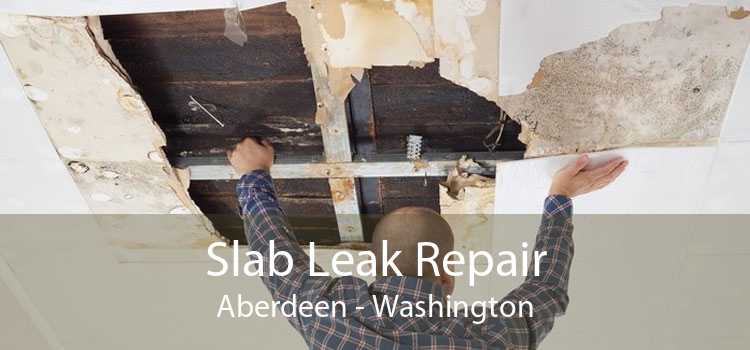 Slab Leak Repair Aberdeen - Washington