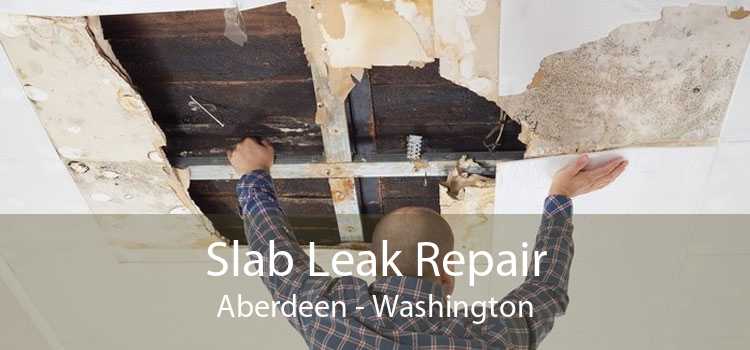 Slab Leak Repair Aberdeen - Washington