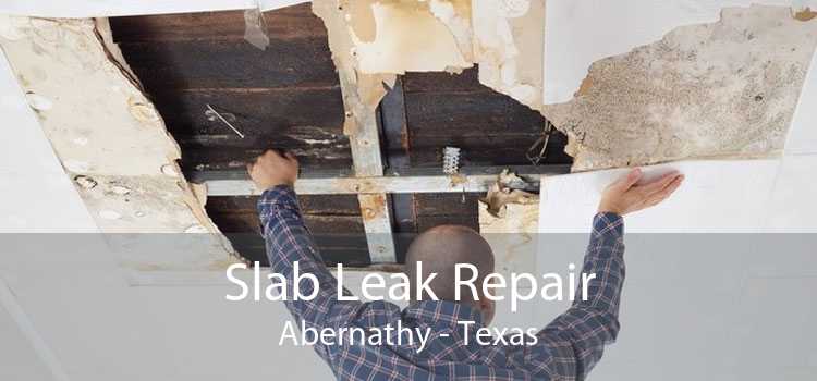 Slab Leak Repair Abernathy - Texas
