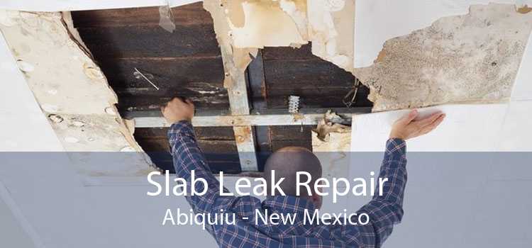 Slab Leak Repair Abiquiu - New Mexico