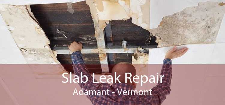 Slab Leak Repair Adamant - Vermont