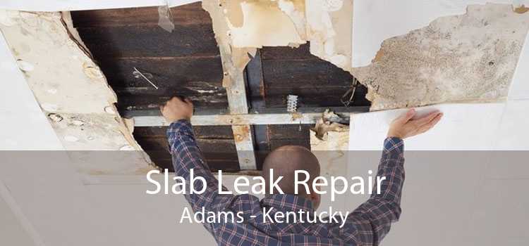 Slab Leak Repair Adams - Kentucky