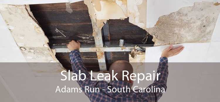 Slab Leak Repair Adams Run - South Carolina