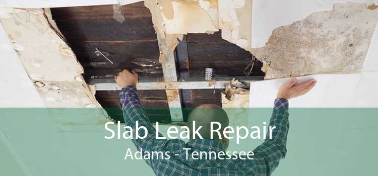 Slab Leak Repair Adams - Tennessee