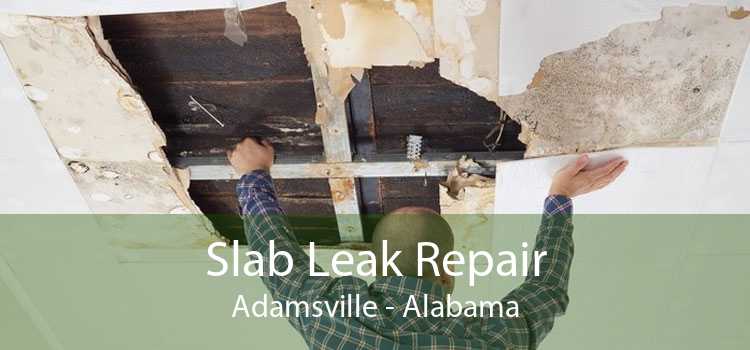 Slab Leak Repair Adamsville - Alabama