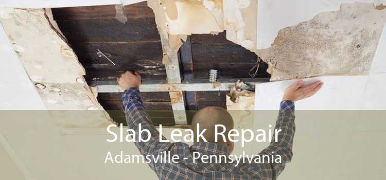 Slab Leak Repair Adamsville - Pennsylvania