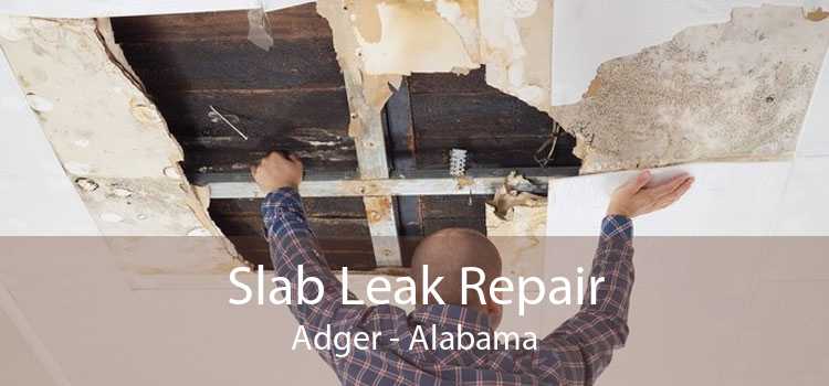 Slab Leak Repair Adger - Alabama