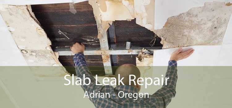 Slab Leak Repair Adrian - Oregon