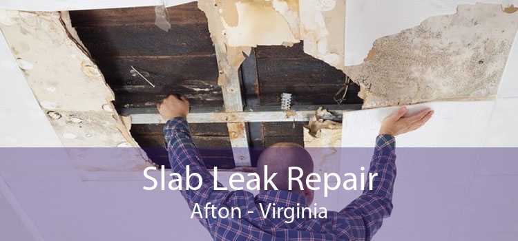 Slab Leak Repair Afton - Virginia