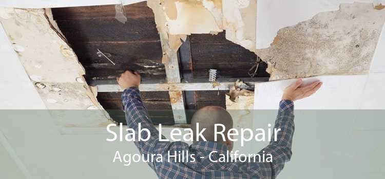Slab Leak Repair Agoura Hills - California
