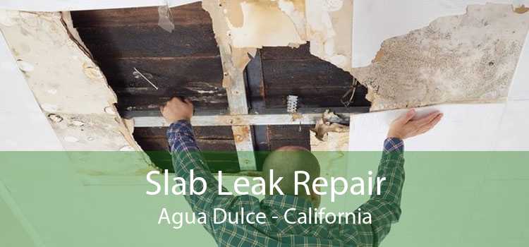 Slab Leak Repair Agua Dulce - California